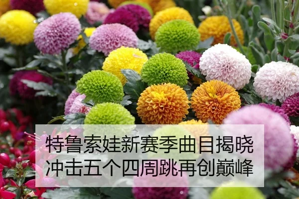 te-lu-suo-wa-xin-sai-ji-qu-mu-jie-xiao-chong-ji-wu-ge-si-zhou-tiao-zai-chuang-dian-feng-2-278.jpg